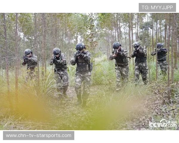 职业战队的战术协作训练